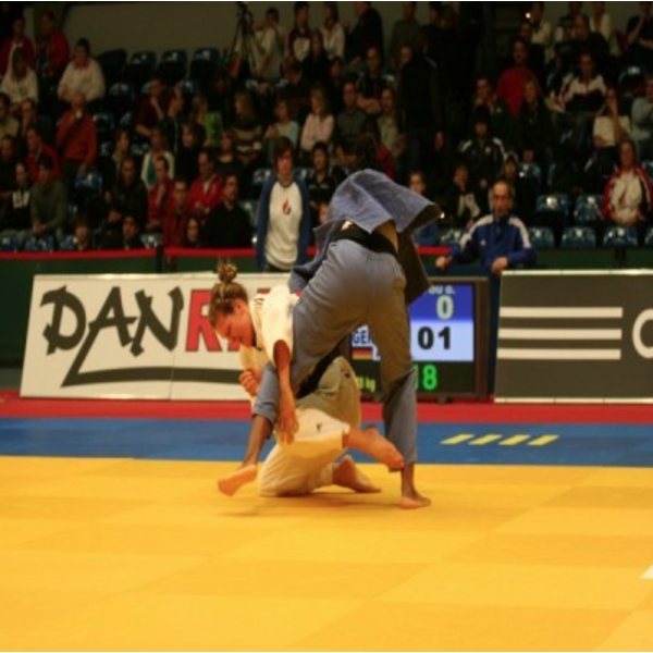 Judo mats | 1 x 1 meter