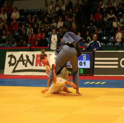 Judo mats | 2 x 1 meter