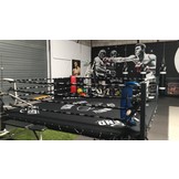 Boxing Ring Canvas