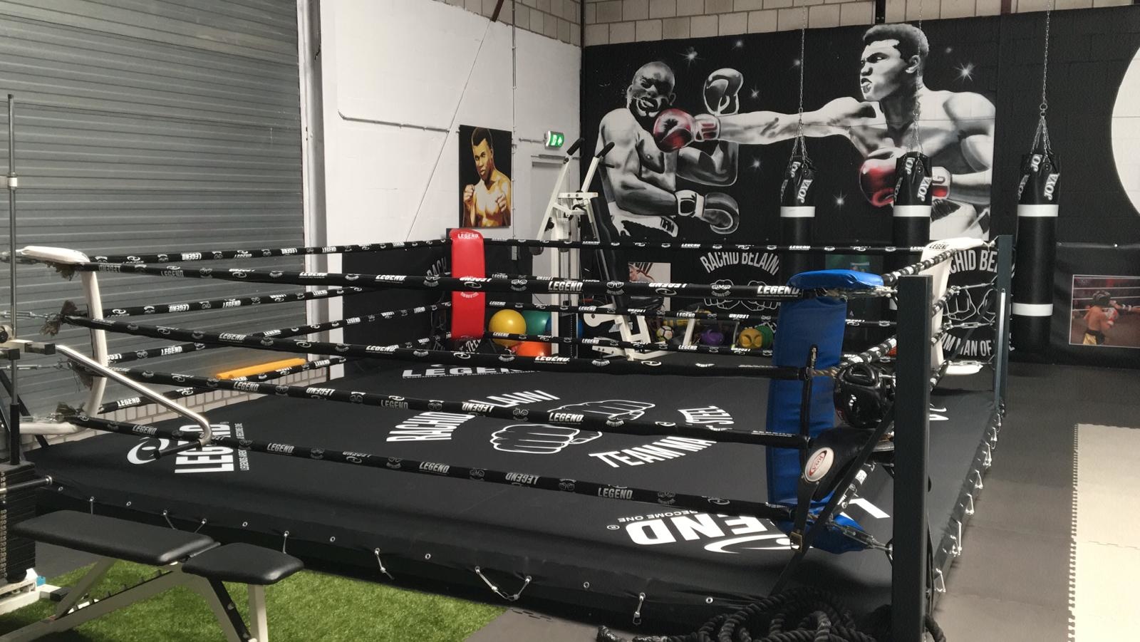 Boxing Ring Canvas