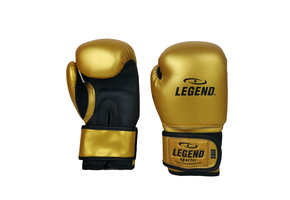 Kinder Bokshandschoenen 4-8 jaar Goud 4oz/6oz PU