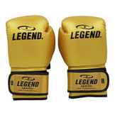 Powerfit & Protect Boxing Gloves Men/Women Gold PU