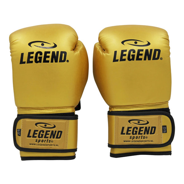 Powerfit & Protect Boxing Gloves Men/Women Gold PU
