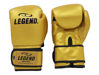Powerfit & Protect Bokshandschoenen Heren/Dames Goud PU