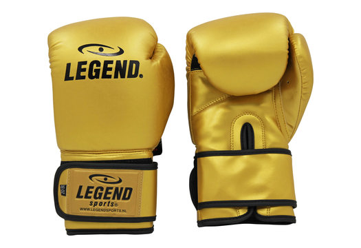 Powerfit & Protect Bokshandschoenen Heren/Dames Goud PU