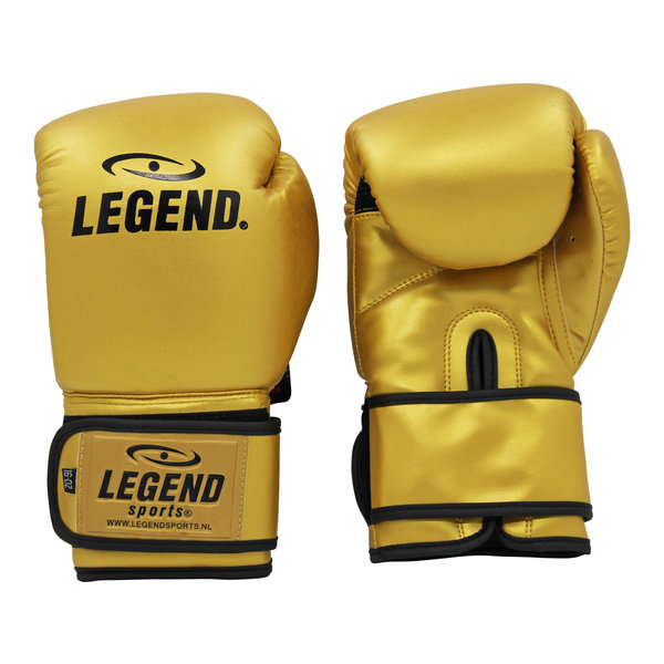 Powerfit & Protect Boxing Gloves Men/Women Gold PU