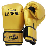 Powerfit & Protect Boxing Gloves Men/Women Gold PU