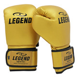Powerfit & Protect Boxing Gloves Men/Women Gold PU
