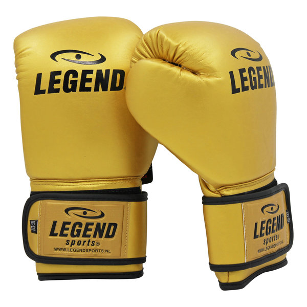 Powerfit & Protect Boxing Gloves Men/Women Gold PU
