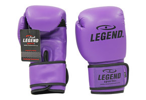 Powerfit & Protect Boxing Gloves Men/Women Purple PU
