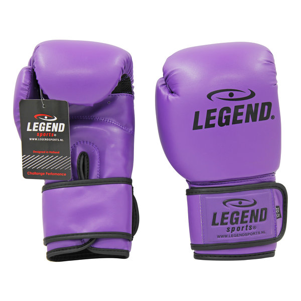 Powerfit & Protect Boxing Gloves Men/Women Purple PU