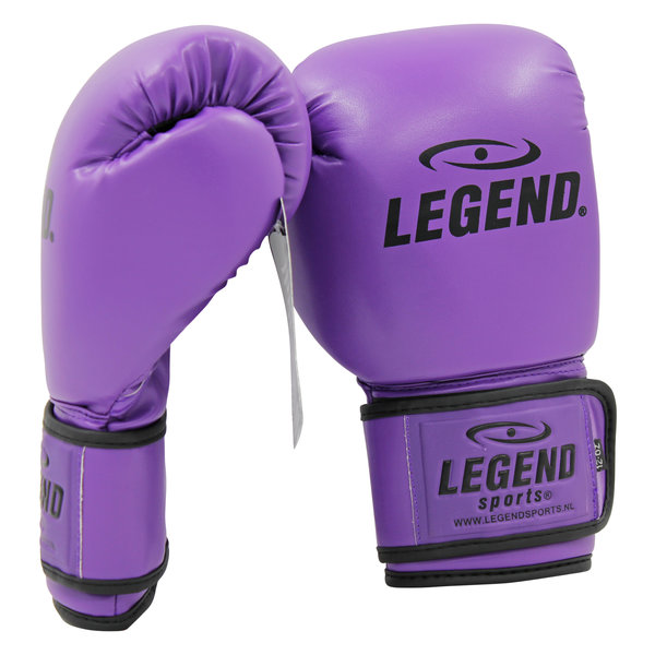 Powerfit & Protect Boxing Gloves Men/Women Purple PU