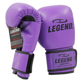 Powerfit & Protect Boxing Gloves Men/Women Purple PU
