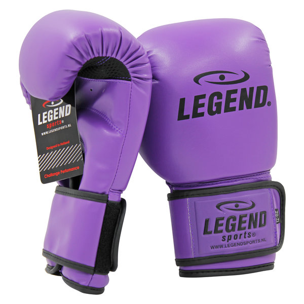 Powerfit & Protect Boxing Gloves Men/Women Purple PU