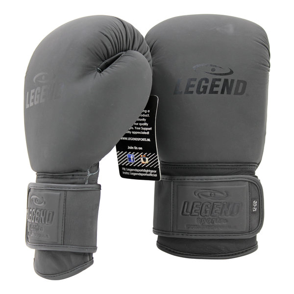 Boxing Gloves Legend Power Men/Women Matte Black Leather