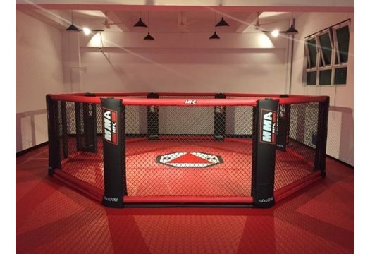 MMA Octagon ring