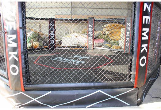 MMA Octagon ring
