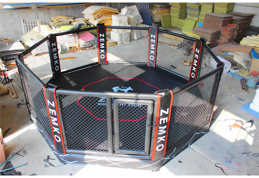 MMA Octagon ring