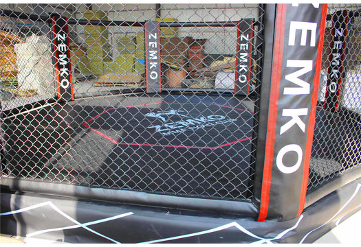MMA Octagon ring