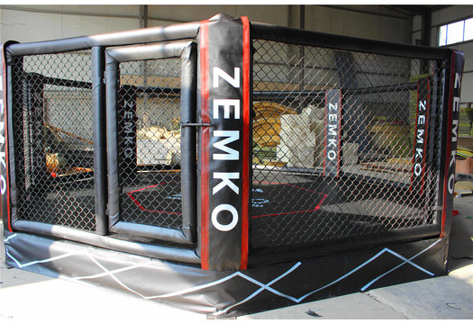 MMA Octagon ring