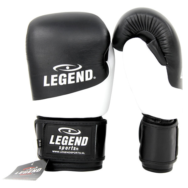 Thai Series 2.0 Men's/Women's Boxing Gloves White Leather