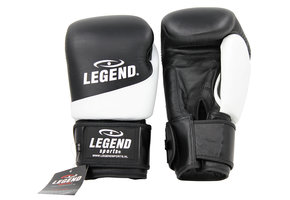 Thai Series 2.0 Men's/Women's Boxing Gloves White Leather