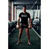 Kickboxing Shorts Kids/Adults Golden Star Satin