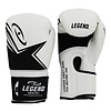 EcoFIT Bokshandschoenen Heren/Dames Wit PU