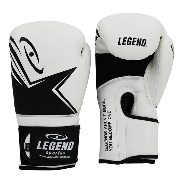 EcoFIT Boxing Gloves Men/Women White PU