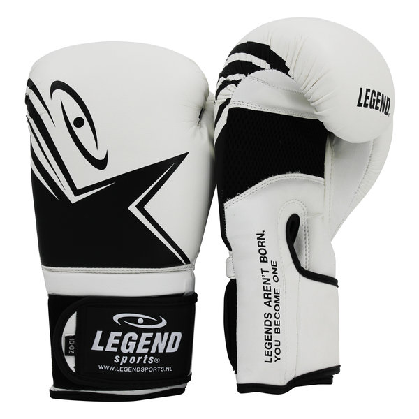 EcoFIT Boxing Gloves Men/Women White PU