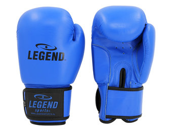 LegendPadding Bokshandschoenen Heren/Dames Blauw Leer