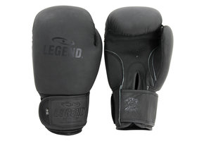 LegendPadding Bokshandschoenen Heren/Dames Mat Zwart Leer
