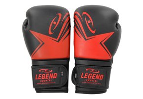 EcoFIT Men's/Women's Boxing Gloves Black-Red PU