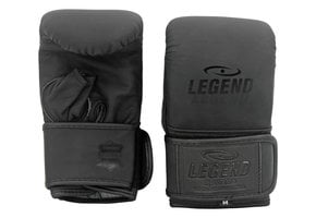 Bag Gloves Men/Women Black Leather
