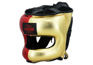 Hoofdbeschermer + Neusbeschermer LE Golden Boy