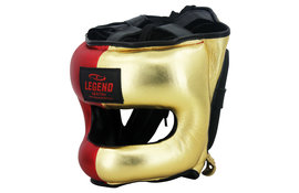 Hoofdbeschermer + Neusbeschermer LE Golden Boy