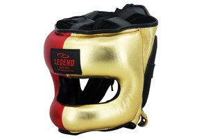 Headguard + Noseguard LE Golden Boy