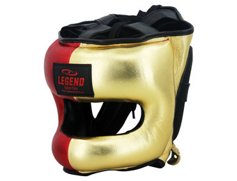 Hoofdbeschermer + Neusbeschermer LE Golden Boy