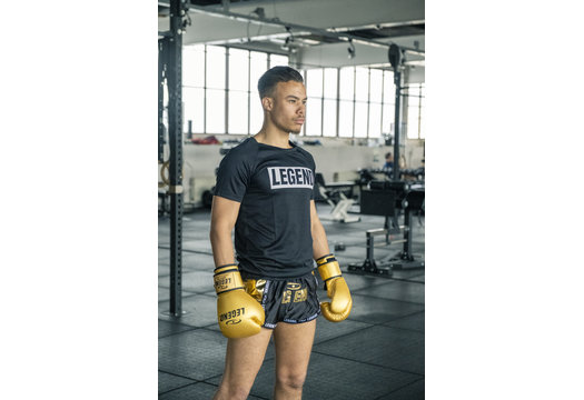 Kickboks Broekje Kids/Volwassenen Golden Star Satijn