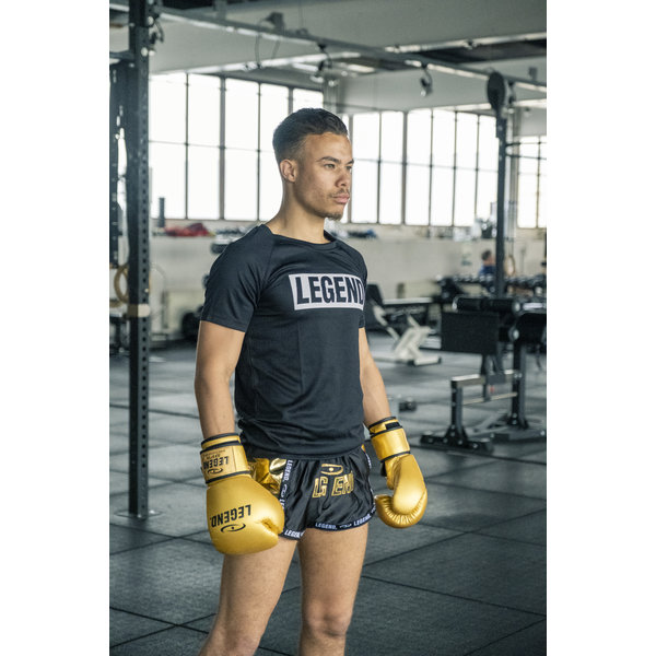 Kickboxing Shorts Kids/Adults Golden Star Satin