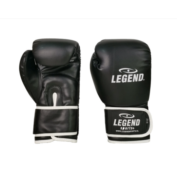 Powerfit & Protect Men's/Women's Boxing Gloves Black-White PU