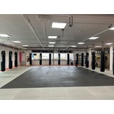 Legend Puzzelmat Sportvloer | 100 x 100 x 4 cm | Blauw / Rood