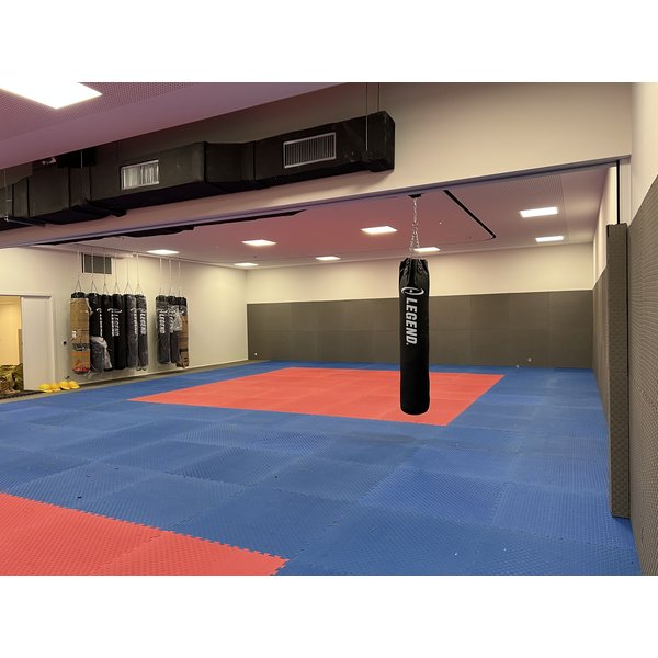 Legend Pro bokszak Muurbeugel - Copy