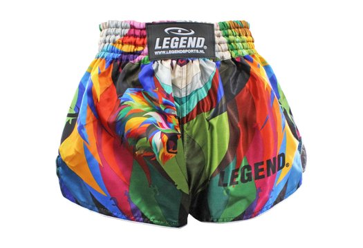 Kickboks Broekje Jungle Lion Kids/Volwassenen