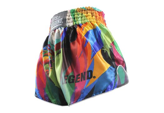Kickboks Broekje Jungle Lion Kids/Volwassenen
