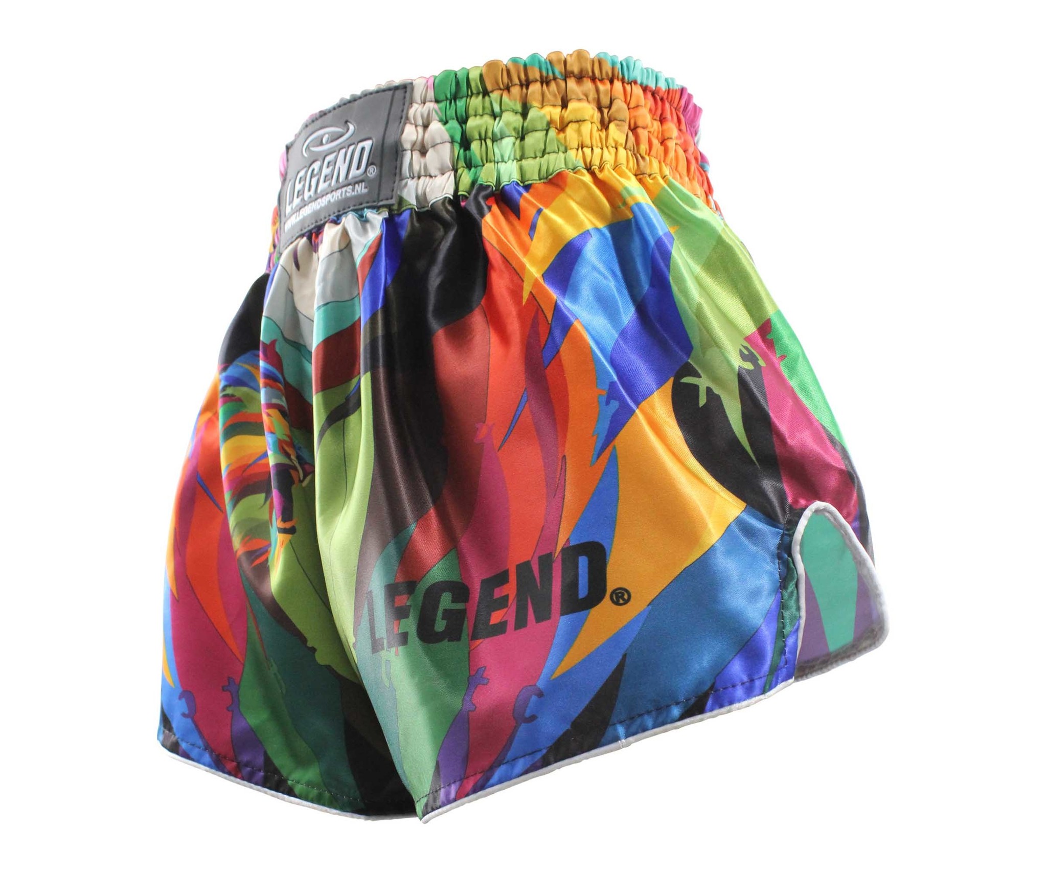 Kickboxing Shorts Jungle Lion Kids/Adults