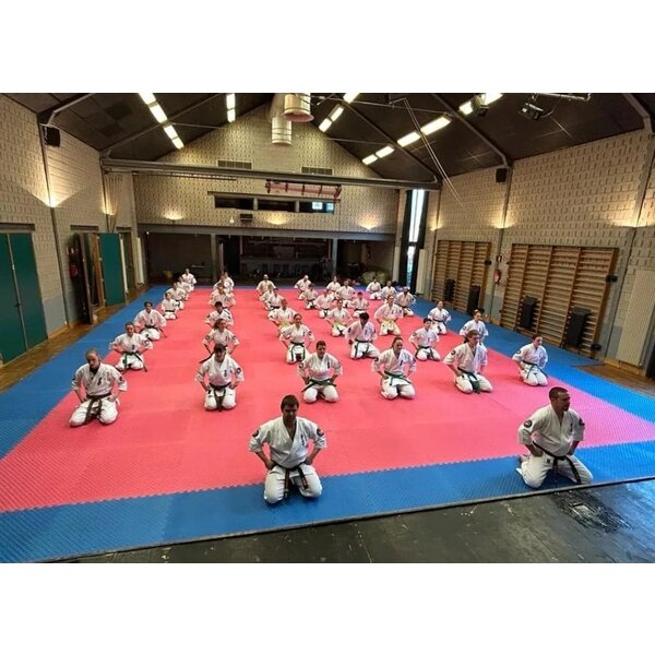 Puzzle Mat | 100x100x2cm | Blue red