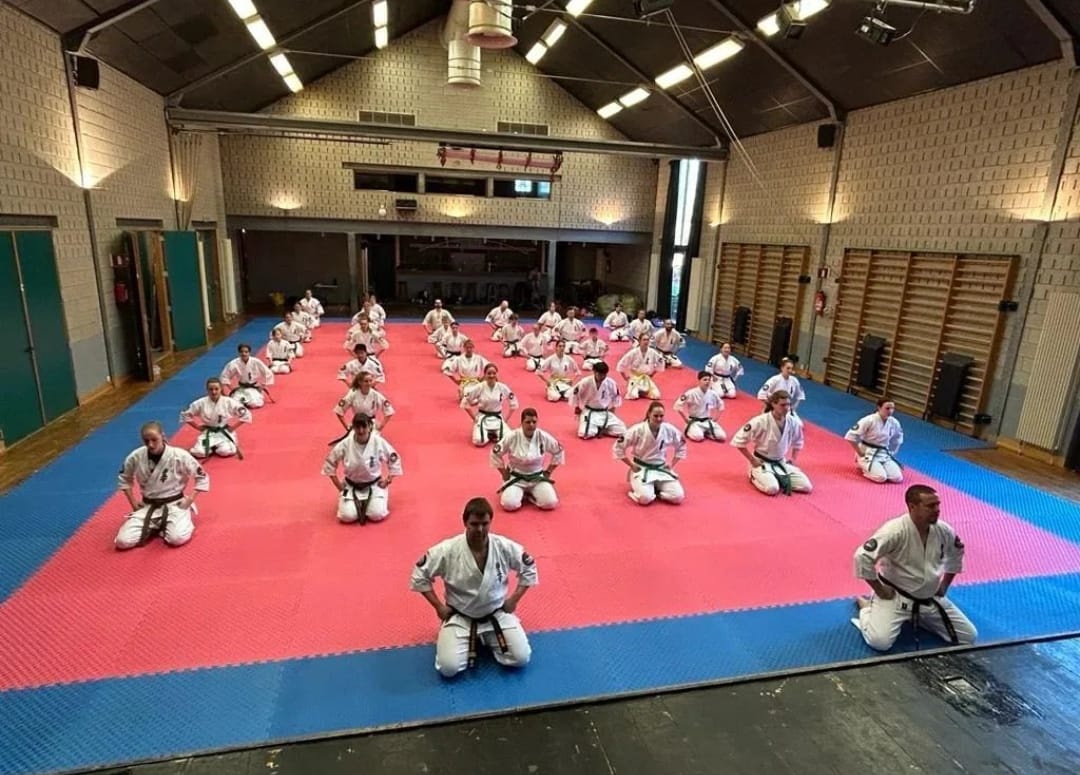 Puzzle Mat | 100x100x3cm | Blue red