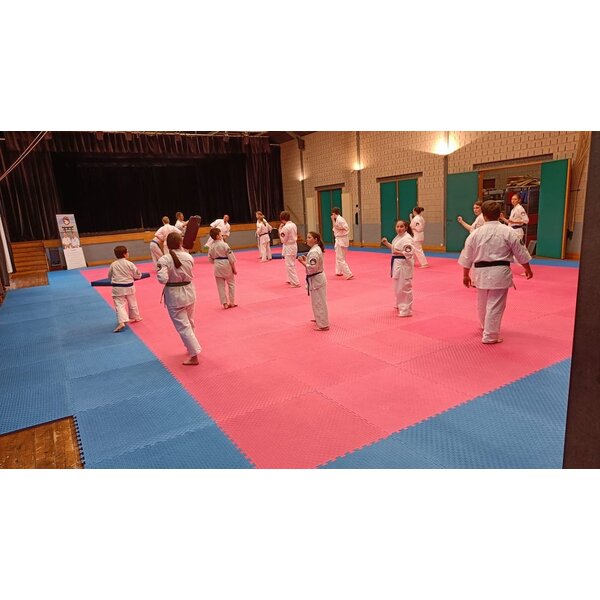 Legend Puzzelmat Sportvloer | 100 x 100 x 4 cm | Blauw / Rood