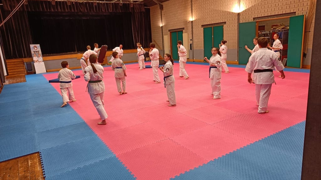 Puzzle Mat | 100x100x4cm | Blue red